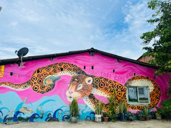 La raíz y el libro, un futuro posible para el pacífico